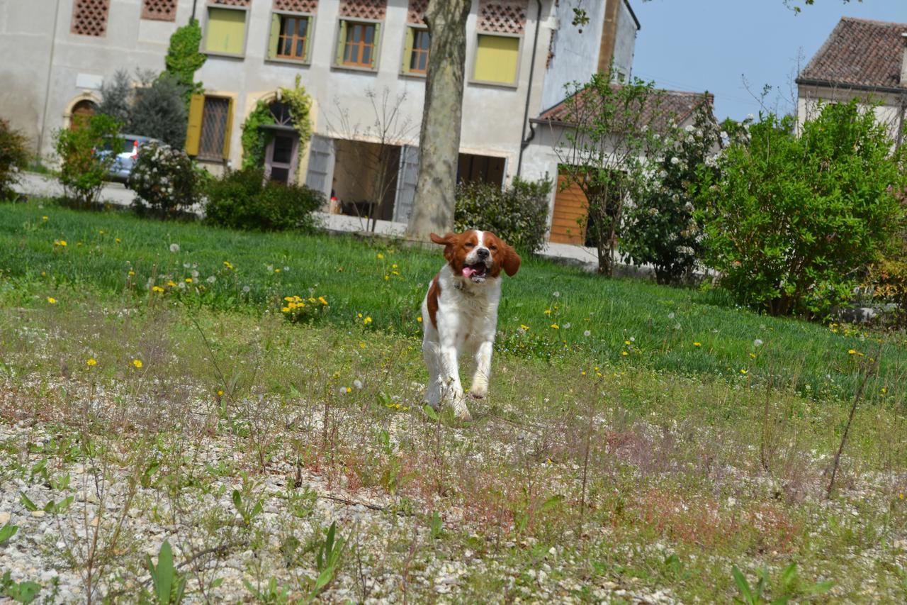 Agriturismo Otto Ducati D'Oro Isola della Scala Exterior foto